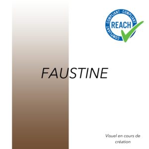 Faustine - Pigment sourcils BK Colors
